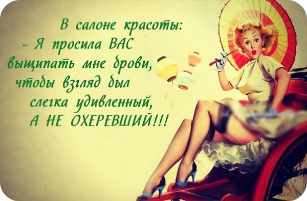 Shopping guide | - - 17  2017  08:06