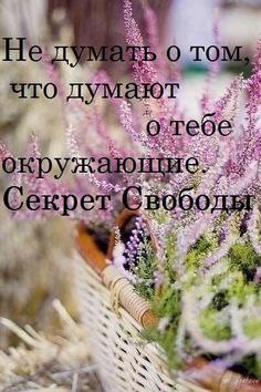 .https://fotostrana.ru/away?to=/sl/kxC2 - 29  2016  18:17