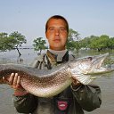 ���� �������, ����, 43 ���� - ��������� 18 ������� 2016 � ������ ���� ����������