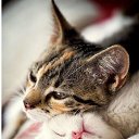 ���� Alehandro, ����������, 53 ���� - ��������� 24 ����� 2017 � ������ ������ ��������