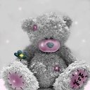 ���� ����, ���� - ��������� 14 ������� 2016 � ������ ������ ��������