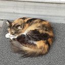  Kudret,  -  12  2017    