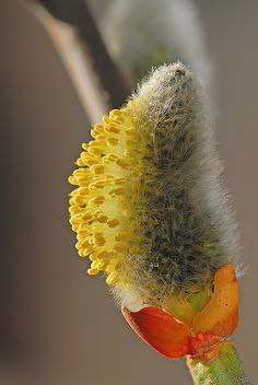   - 15  2016  00:15 - 8