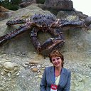 �������� �� ������� �������