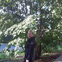 ���� �������, ����, 43 ���� - ��������� 25 ����� 2017