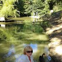 ���� �����, �����, 65 ��� - ��������� 5 ������� 2016 � ������ ���� ����������