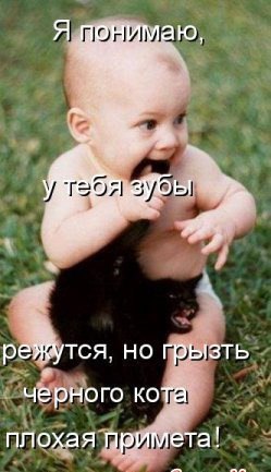   - 7  2016  15:59