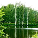 ���� ���������, ������, 66 ��� - ��������� 23 ������� 2016 � ������ ������ ��������