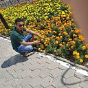 ���� �����, ���������, 33 ���� - ��������� 10 ������� 2017 � ������ ���� ����������