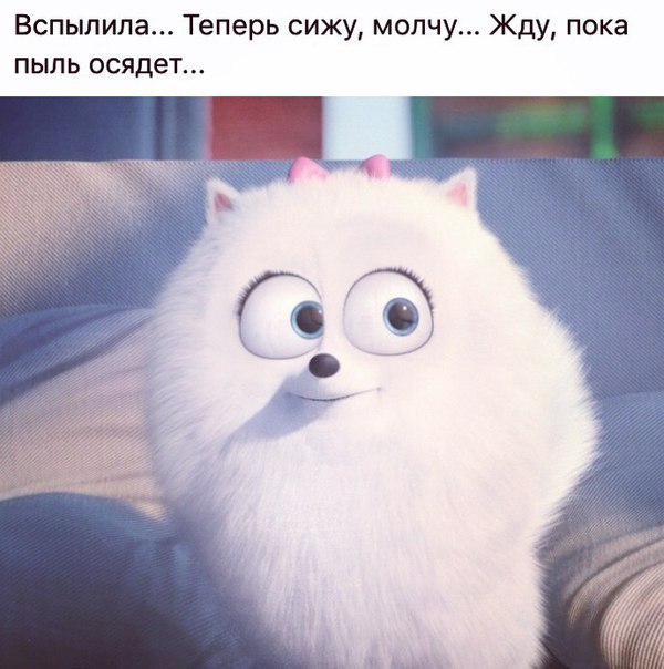 ������� �������� ������� - 13 �������� 2016 � 07:12