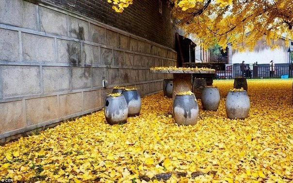 #@https://fotostrana.ru/away?to=/sl/XE2 - 4