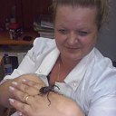 ���� ��������, �������������� - ��������� 18 ������� 2016 � ������ ������ ��������