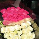 ���� �������, ������, 56 ��� - ��������� 27 ������� 2016