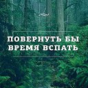 ���� ������, ������-��-����, 57 ��� - ��������� 31 ������� 2016 � ������ ���������� ������