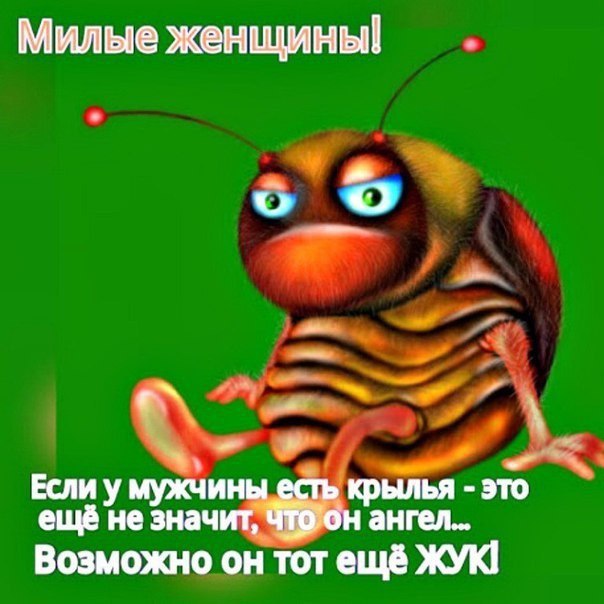    - 4  2017  16:56