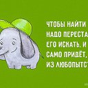 ���� �����, ����������� - ��������� 24 ������ 2017