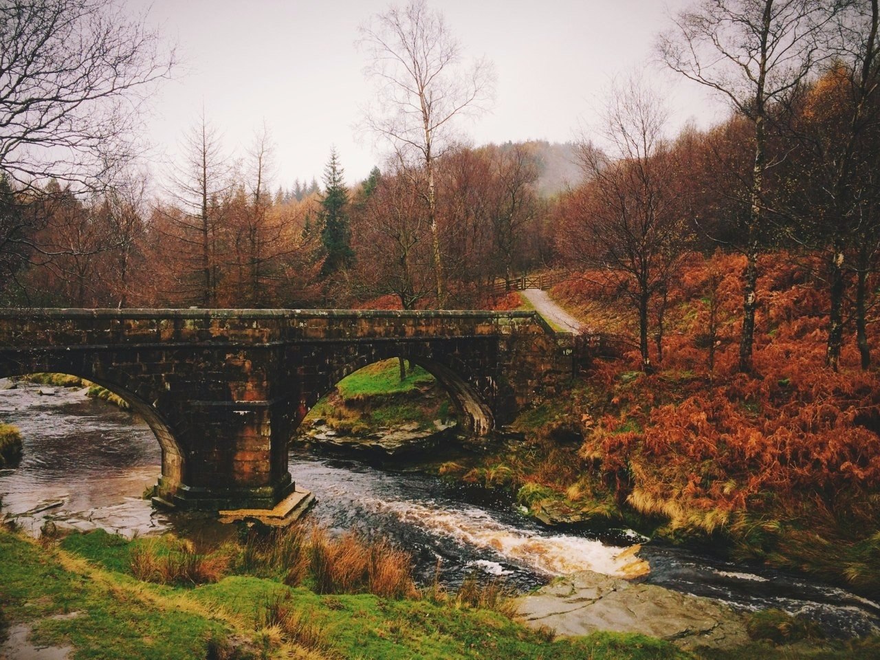   .#nature@travel.blog - 4