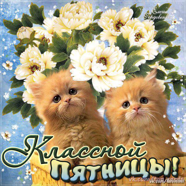 ������� - 7 ������� 2016 � 07:25