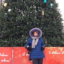 ���� ����, ���� - ��������� 12 ������� 2017 � ������ ���� ����������