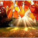 ���� ����, ������������, 58 ��� - ��������� 14 ������� 2017 � ������ ������ ��������