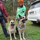 ���� ��������, ��������, 54 ���� - ��������� 4 ������� 2016 � ������ ���� ����������