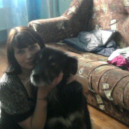 �����, ��������, 40 ���