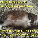 ���� ���������, �����, 38 ��� - ��������� 1 ������ 2016 � ������ ������ ��������