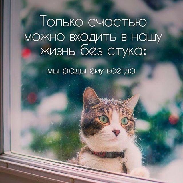  - 5  2017  10:11