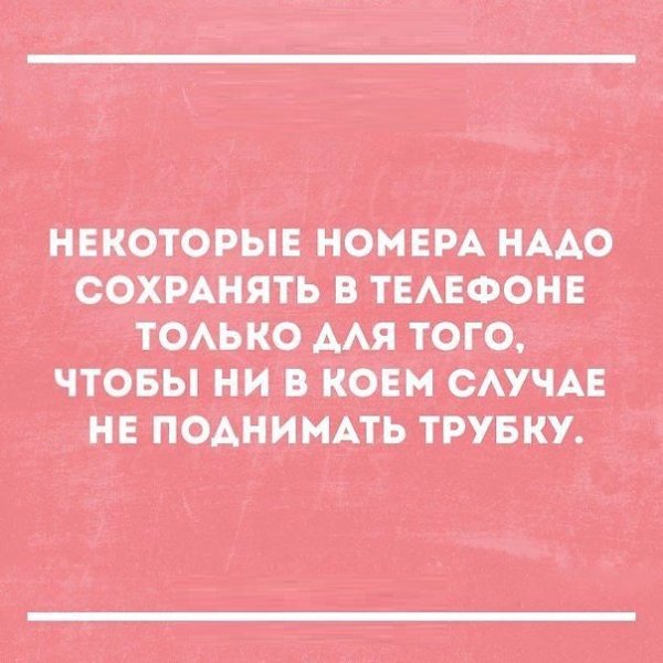" —  ...  " - 31  2017  12:09
