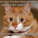 ���� ���������, ������ - ��������� 28 ������ 2016 � ������ �������� ��������