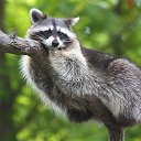 ���� ������, �����, 69 ��� - ��������� 28 ������� 2017 � ������ ������ ��������