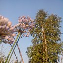 ���� ����, ���������, 67 ��� - ��������� 8 ������ 2016 � ������ ���� ����������