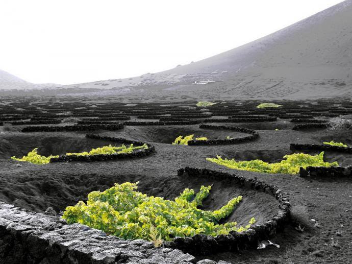    .  (Lanzarote)    ... - 2