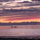 ���� ���, �����-��������� - ��������� 3 ������� 2016 � ������ ���������� ������