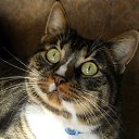 ���� �������, ����� - ��������� 11 ������� 2016 � ������ ���� ����������