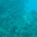 ���� ����, ����, 50 ��� - ��������� 11 ������� 2016 � ������ ���� ����������