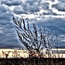 ���� Lyubov, ������ - ��������� 29 �������� 2016 � ������ �������������