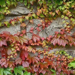 ���� Kirill, ������, 48 ��� - ��������� 13 ������� 2017