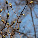 ���� ��������, ���������, 48 ��� - ��������� 22 ������� 2016 � ������ ���� ����������