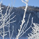  Beso, , 50  -  28  2016    