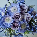 ���� �����, �������� - ��������� 7 ������ 2017 � ������ ���� ����������