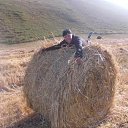 ���� ����, �����, 53 ���� - ��������� 27 �������� 2016 � ������ ���� ����������