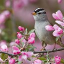  ••,  -  11  2017    