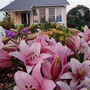 ���� ��������, ������, 59 ��� - ��������� 4 ������ 2016 � ������ ���� ����������