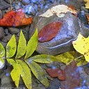 ���� ���������, ������, 69 ��� - ��������� 21 �������� 2016 � ������ �������