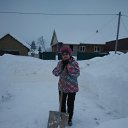 ���������� ������ ����� 12.01.2017 �� ������� ���� ����������