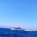 ���� ������, ������, 55 ��� - ��������� 26 �������� 2016 � ������ ���� ����������