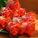 ���� Anina, ���� - ��������� 25 ������� 2016 � ������ ���� ����������