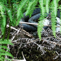 ���� �������, �����-���������, 56 ��� - ��������� 24 ������� 2016