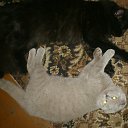 ���� ������, �������, 68 ��� - ��������� 2 ������ 2017 � ������ ������ ��������